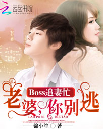 boss追妻49天 小说