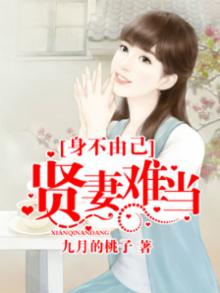 贤妻不可欺免费阅读