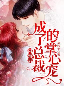 闪婚后她成了总裁的掌心宠