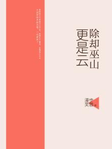 除却巫山山不是云