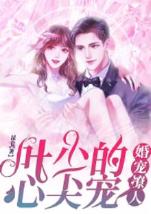 婚宠撩人，叶少的心尖宠