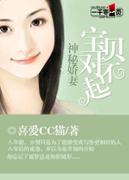 神秘娇妻:宝贝对不起小说阅读