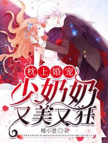 枕上婚宠莫少宠妻请节制