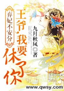 弃妃不安分:王爷,我要休了你免费阅读