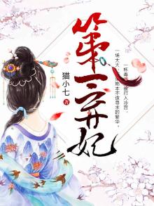第一弃妃全本免费阅读