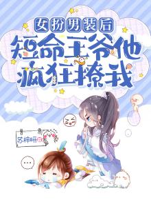 女扮男装 王爷