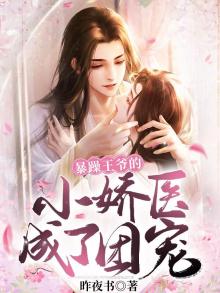 暴躁王爷王妃是只猫