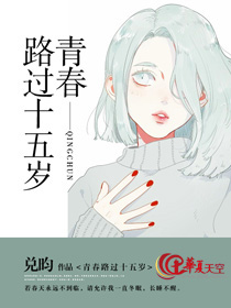 路过你的青春
