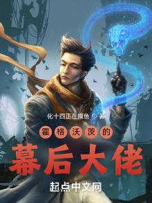 霍格沃茨的幕后大佬下载