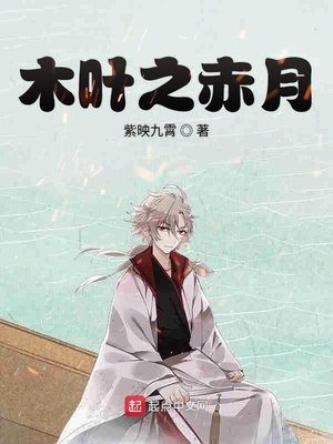 木叶之赤月小说