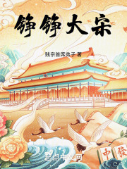 铮铮大宋txt