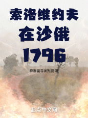 弗拉基米尔 索洛维约夫