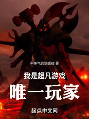 超凡玩家简介