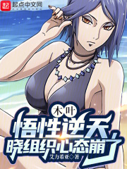 晓组织打木叶是哪一集