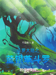 斗罗大陆之蓝银小说