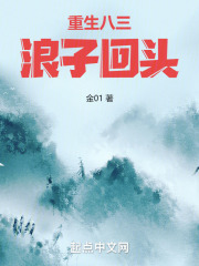 重回八三做玩主小说