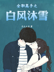 全职高手之风起散人 小说