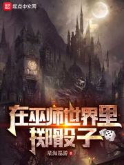 巫师骰子游戏