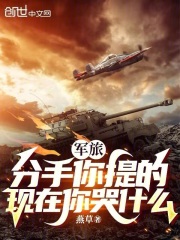 军旅:分手你提的,现在你哭什么笔趣阁