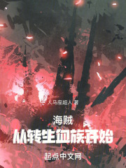 转生到海贼王的小说