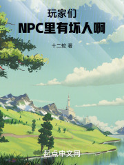 玩家npc什么意思