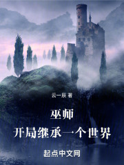 巫师传承小说