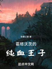 霍格沃茨男主天才纯血的小说