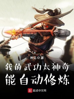 我的武功太神奇,能自动修炼 小说