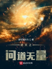 遮天之问道无量 小说