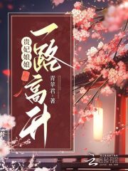 贵妃娘娘一路高升晋江文学城