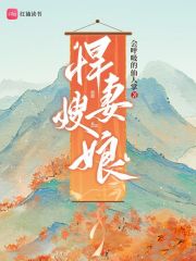 悍妻系列之四