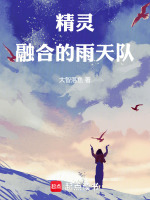 心金雨天队精灵搭配