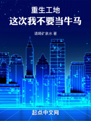 重生工地小说