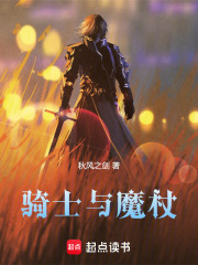 骑士与魔术