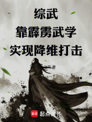 穿越霹雳武神