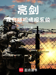 亮剑:我有随机情报系统小说