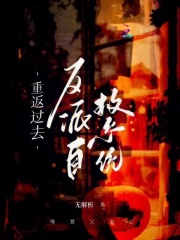 重返过去,反派自救系统小说