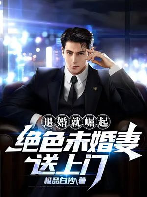 小说退婚