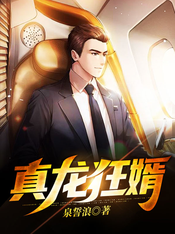 真龙狂婿陈一