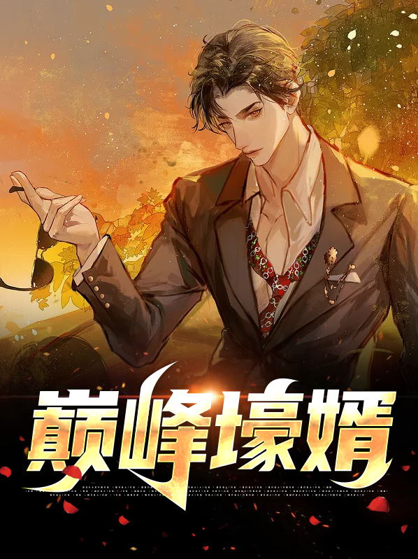 巅峰战婿 小说
