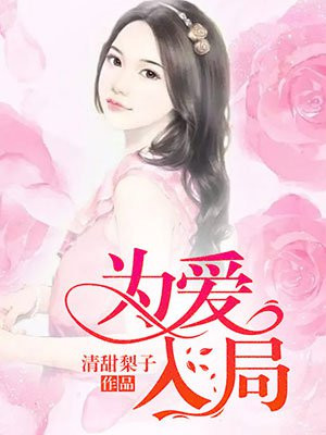 为爱入局金丙小说主要讲什么