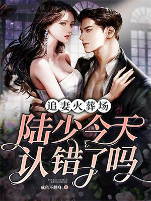 陆总裁追妻火葬场