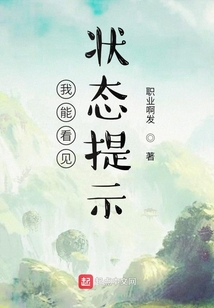 我能看见状态提示小说