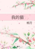 我的英雄学院猫