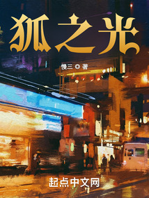 狐之光小说