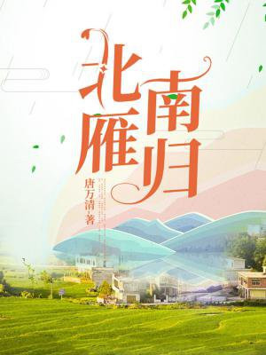 北雁南归什么意思
