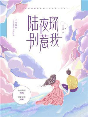 陆夜琛别惹我免费阅读
