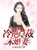 我的冷艳总裁未婚妻免费