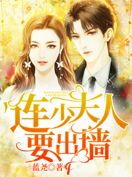 连少夫人又逃走了大结局