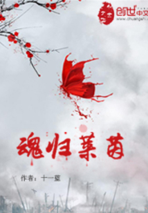 魂归莱茵百度百科